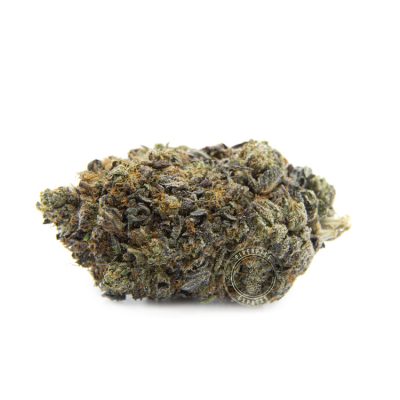 Shop Online - Pineapple Express TO